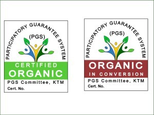 Organic Marketing from Hasera