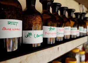 Seed Bank at Hasera Farm