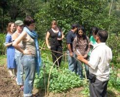 Participants of a Permaculture Design Course enjoying during a practical session